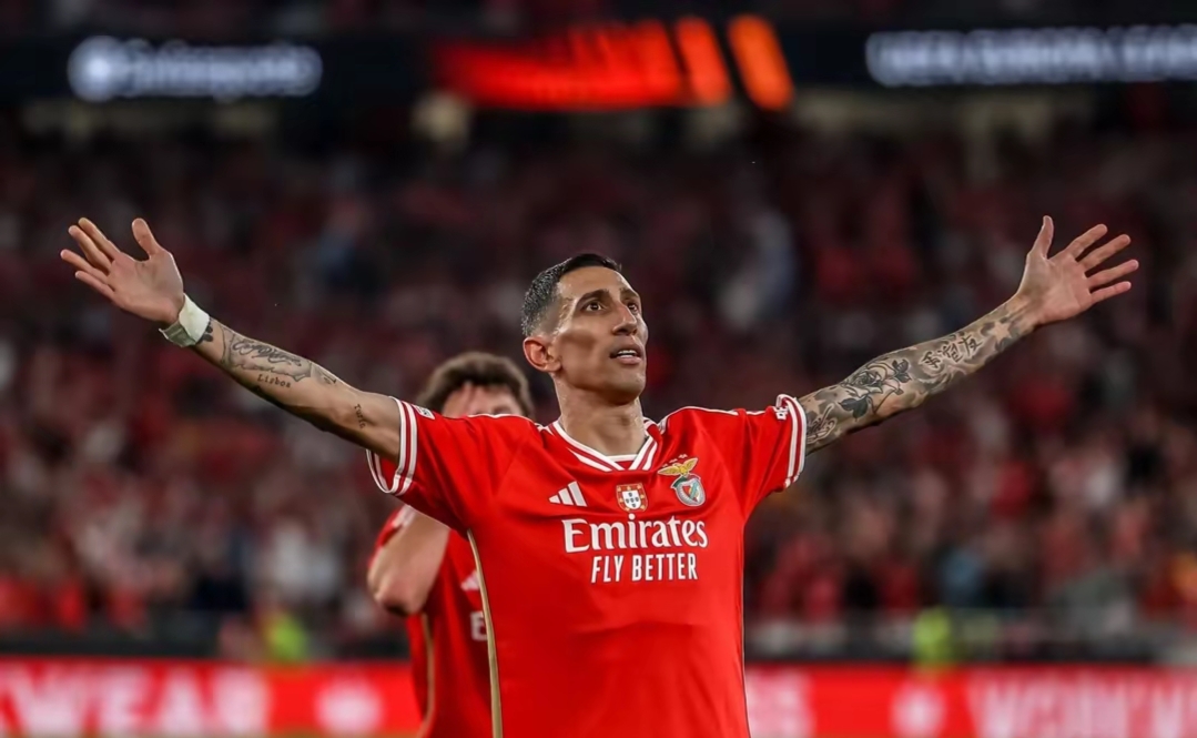 lol战争学院-集结日德国杯传出新动向；本菲卡造点机会；管理层表态——震撼外界；年轻球员得到机会(泽连斯基在第16届慕尼黑讲话全文)